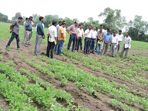 ARS, Adilabad T&V Meeting 
