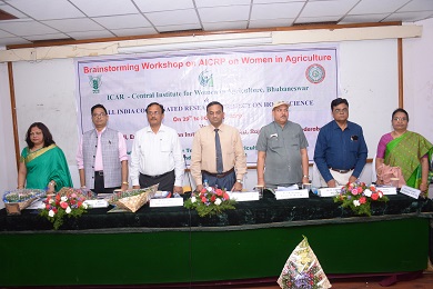 Brain Storming workshop on AICRP 